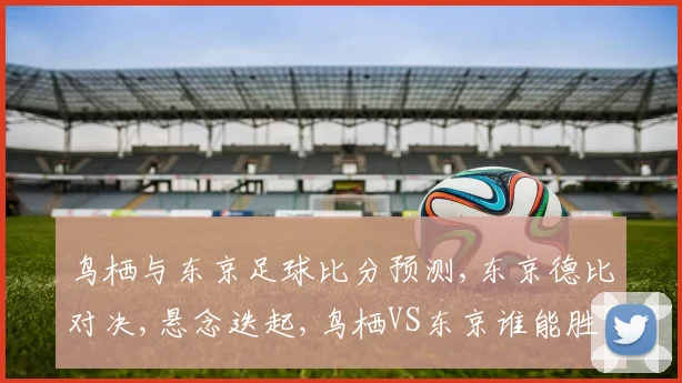 鸟栖与东京足球比分预测,东京德比对决,悬念迭起,鸟栖VS东京谁能胜出