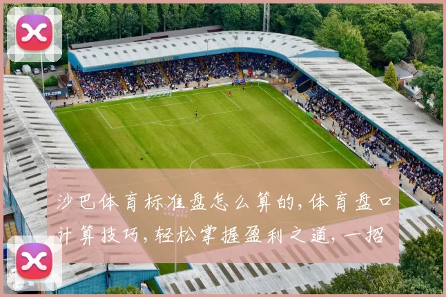 沙巴体育标准盘怎么算的,体育盘口计算技巧,轻松掌握盈利之道,一招制胜
